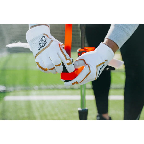 Elite Swing Trainer