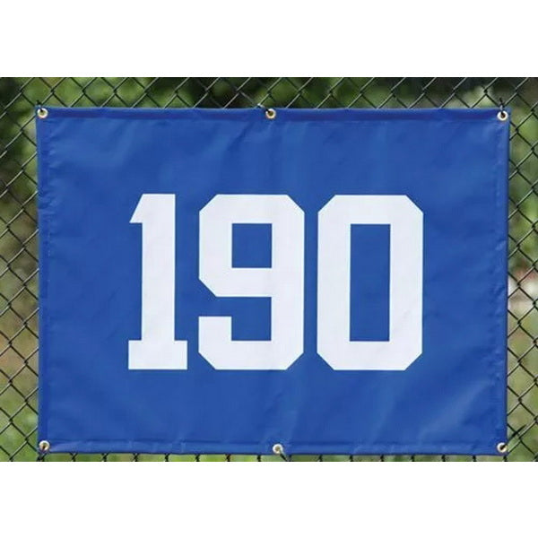 Baseball Outfield Distance Marker Blue and White